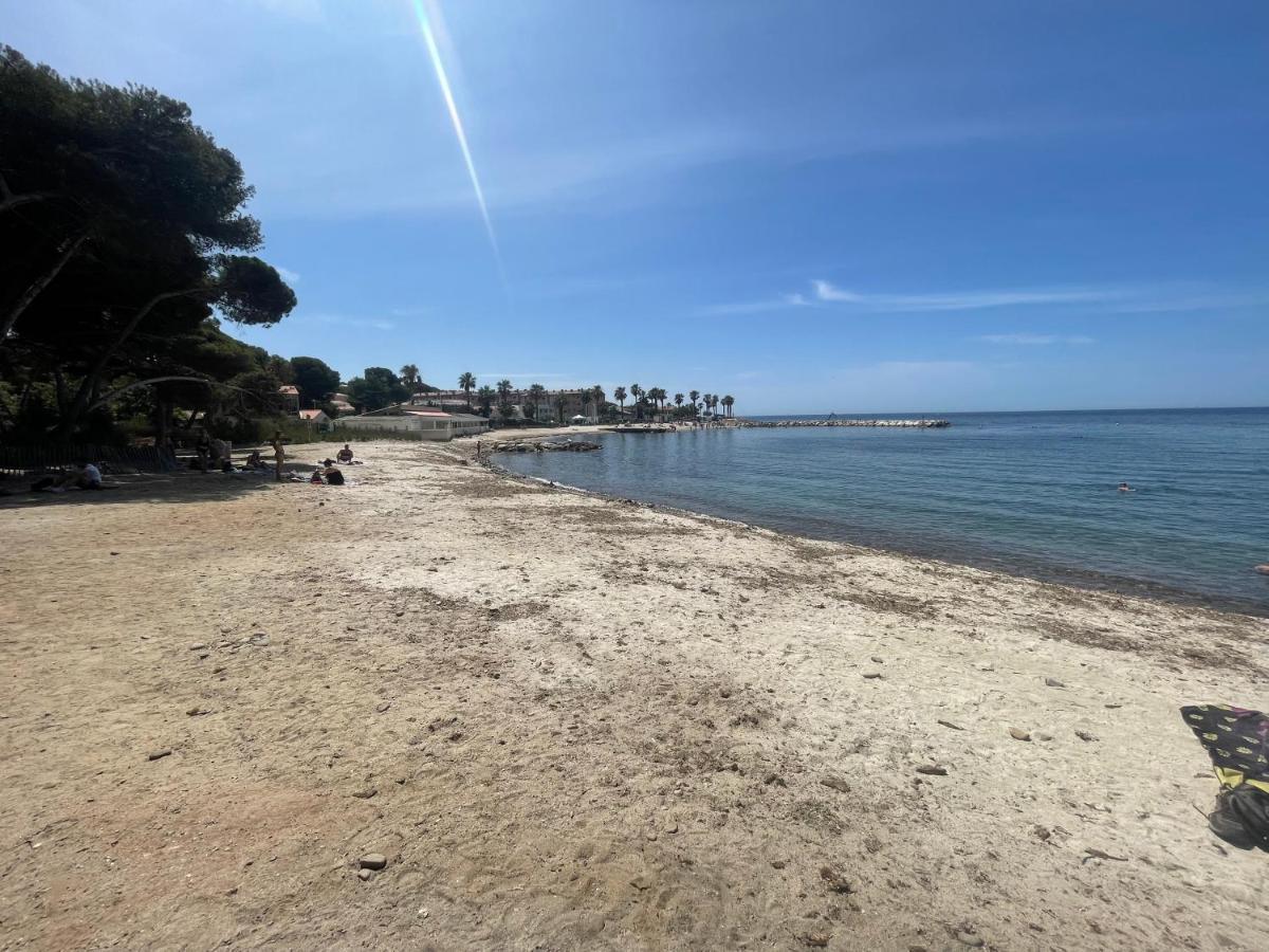Superbe Studio Avec Terrasse Proximite Plage Saint-Mandrier-sur-Mer Dış mekan fotoğraf