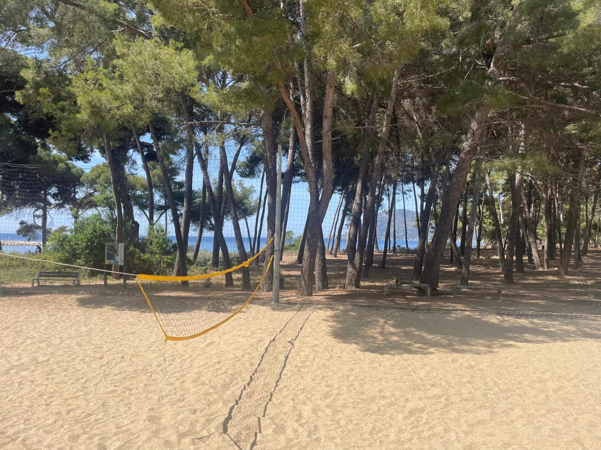 Superbe Studio Avec Terrasse Proximite Plage Saint-Mandrier-sur-Mer Dış mekan fotoğraf