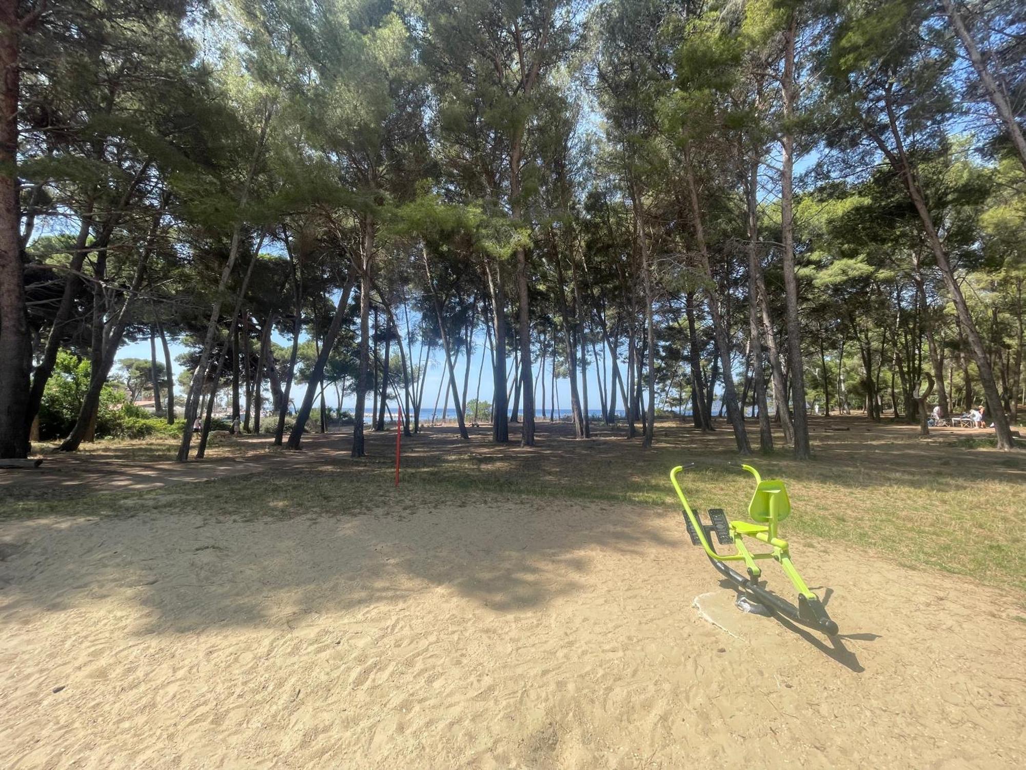 Superbe Studio Avec Terrasse Proximite Plage Saint-Mandrier-sur-Mer Dış mekan fotoğraf
