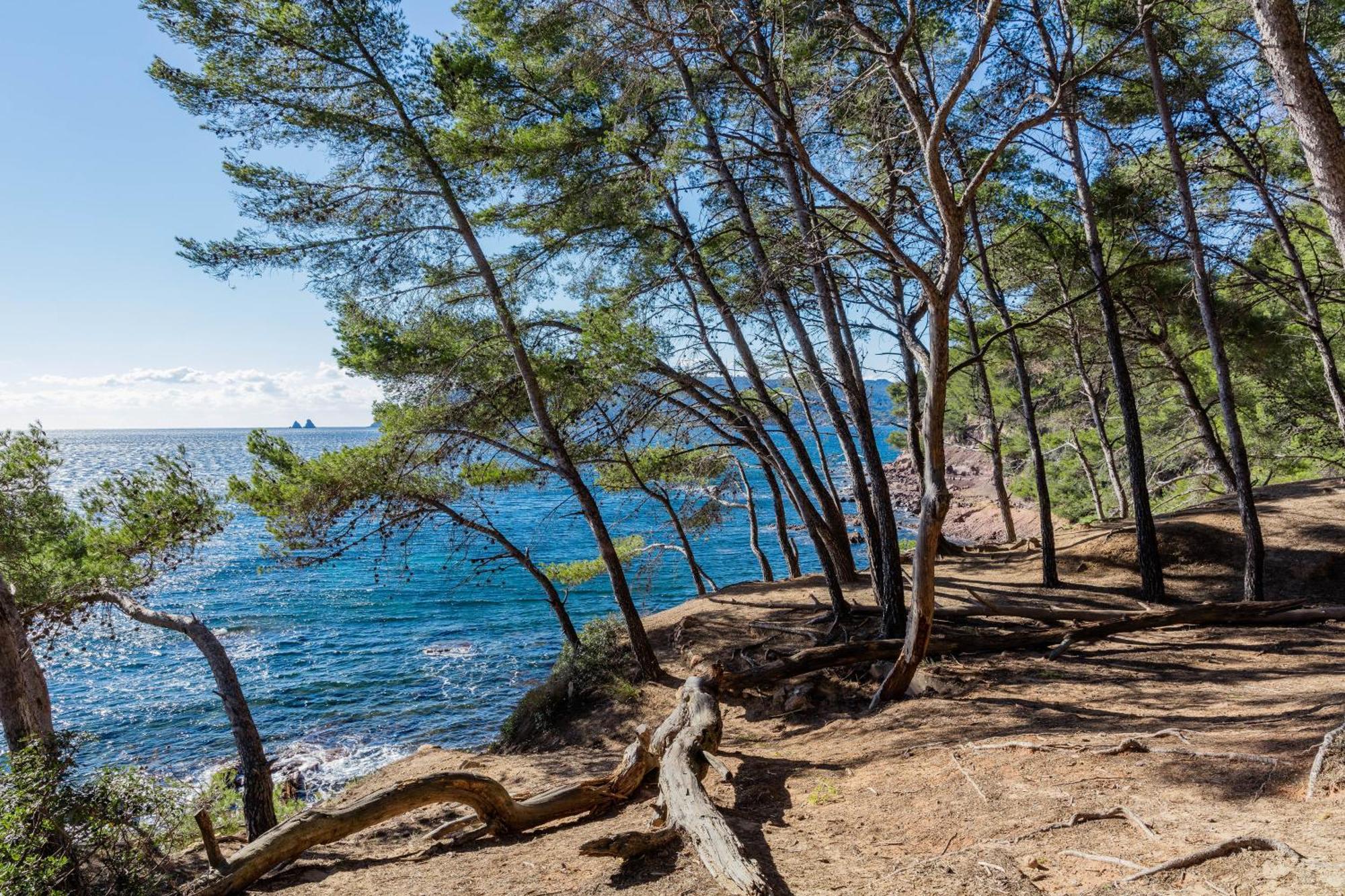 Superbe Studio Avec Terrasse Proximite Plage Saint-Mandrier-sur-Mer Dış mekan fotoğraf